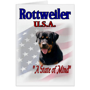 Rottweiler Liebespaare