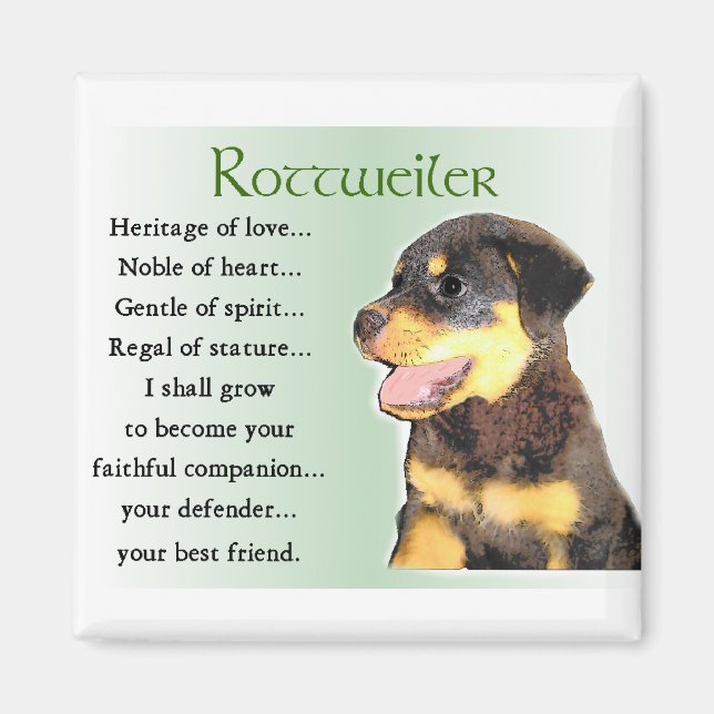 Rottweiler Liebespaare Magnet (Vorne)
