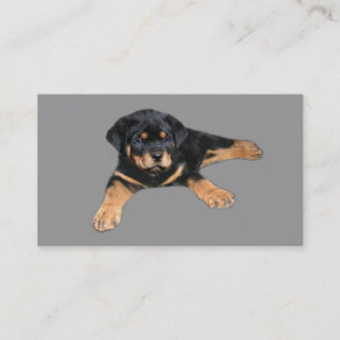 Rottweiler Liebhaber-Visitenkarte Visitenkarte