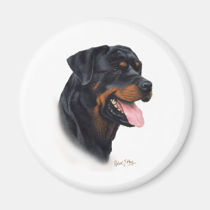 Rottweiler Magnet
