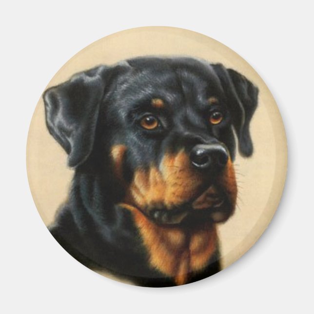 Rottweiler Magnet (Vorne)