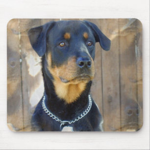 Rottweiler Mausunterlage Mousepad