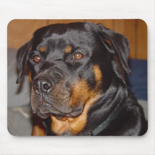 Rottweiler Mousepad (Vorne)