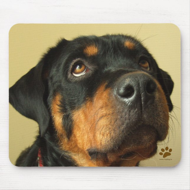 Rottweiler Mousepad (Vorne)