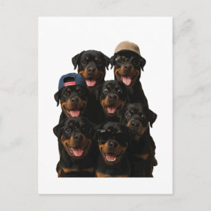 Rottweiler Postkarte