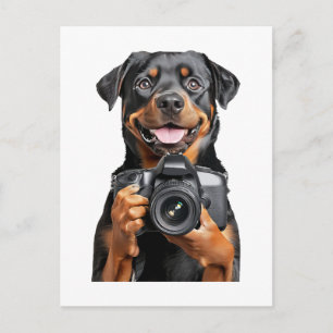 Rottweiler   postkarte