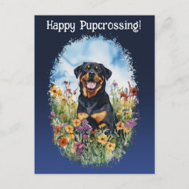 Rottweiler Postkreuz - Postkarte