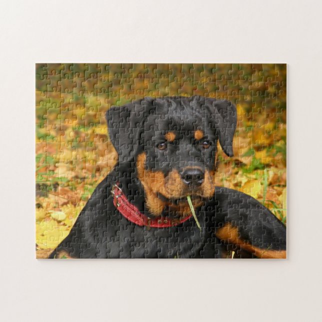 Rottweiler Pup auf dem Boden im Wald Puzzle (Horizontal)