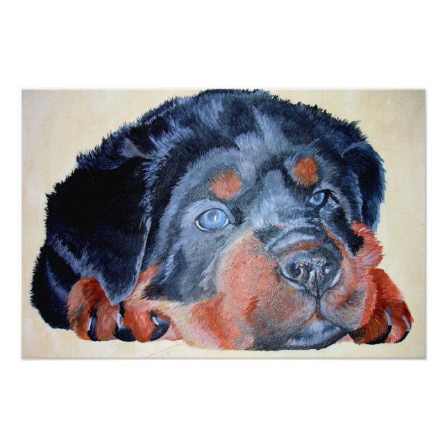 Rottweiler Puppy Artistic Pet Portrait Fotodruck (Vorne)