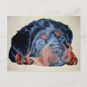 Rottweiler Puppy Artistic Pet Portrait Postkarte