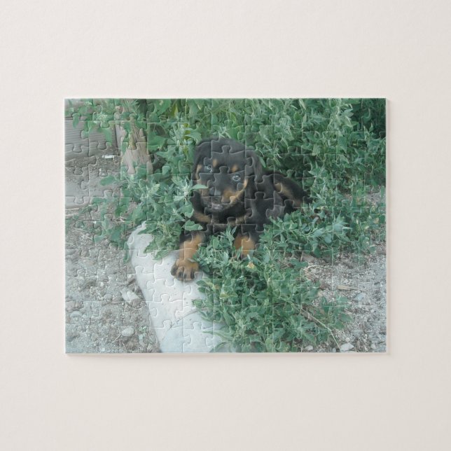 Rottweiler Puppy Foto Puzzle (Horizontal)