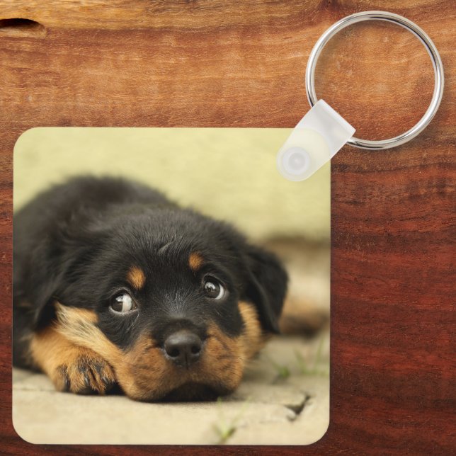 Rottweiler Puppy Schlüsselanhänger (Rückseite)