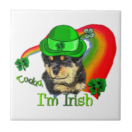 Rottweiler Puppy St Pattys Fliese