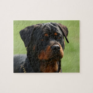 Rottweiler Puzzle