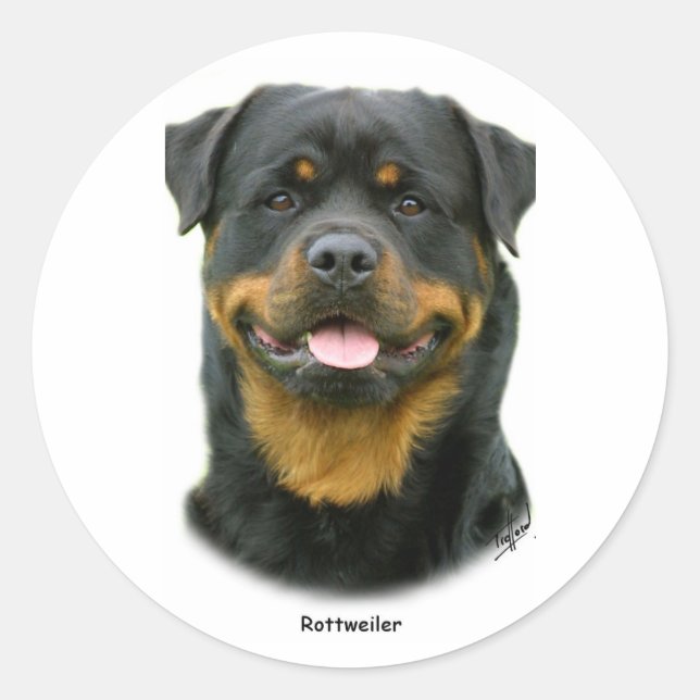 Rottweiler Runder Aufkleber (Vorderseite)
