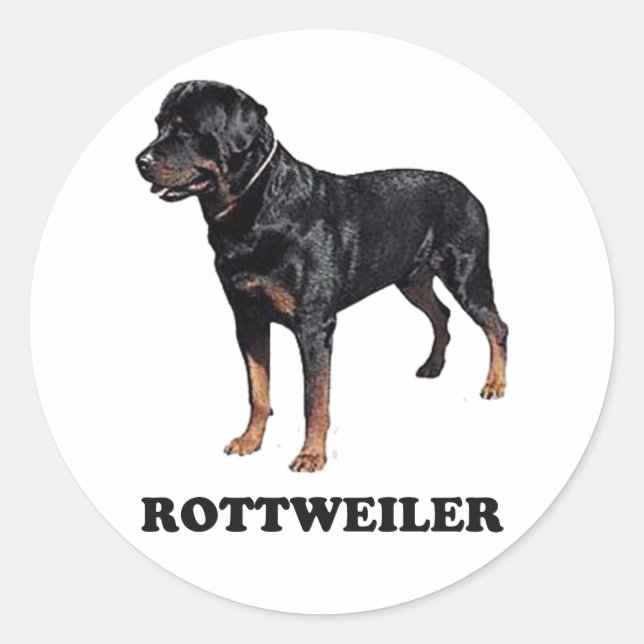 Rottweiler Runder Aufkleber (Vorderseite)