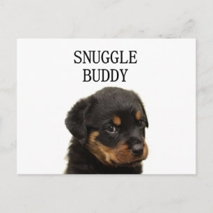 Rottweiler-Schnurrbart Postkarte