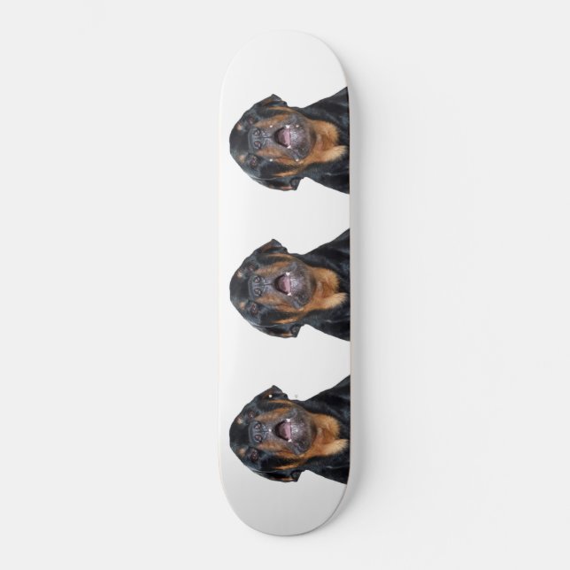 Rottweiler-Skateboard Skateboard (Vorderseite)