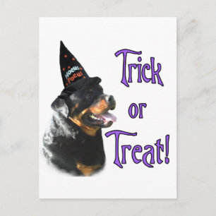 Rottweiler Trick Postkarte