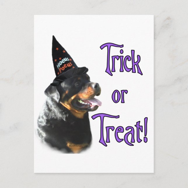 Rottweiler Trick Postkarte (Vorderseite)