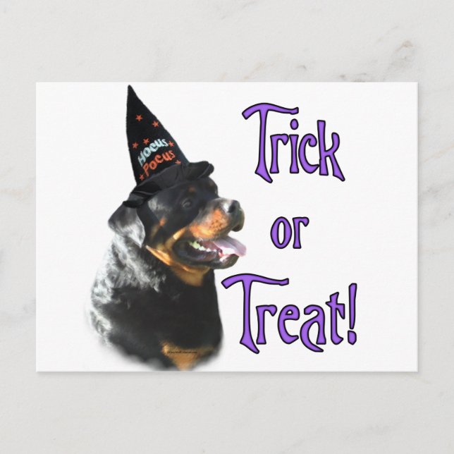 Rottweiler Trick Postkarte (Vorderseite)
