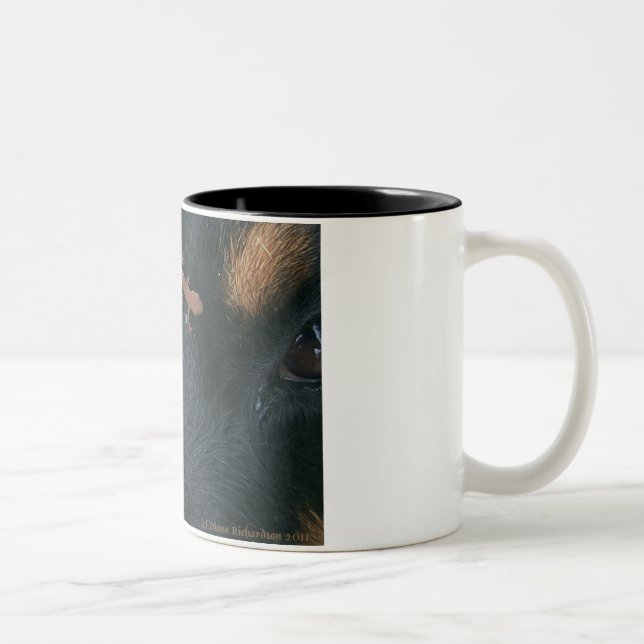 Rottweiler u. Salamander-Tasse Zweifarbige Tasse (Rechts)