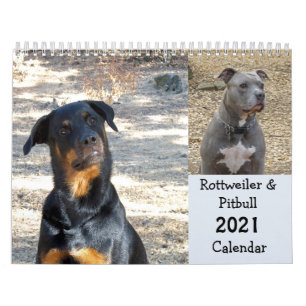 Rottweiler und Pitbuler Kalender