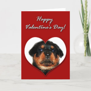 Rottweiler Valentines Day Card Feiertagskarte