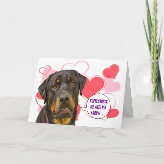 Rottweiler Valentinstag-Karte Feiertagskarte (Vorderseite)