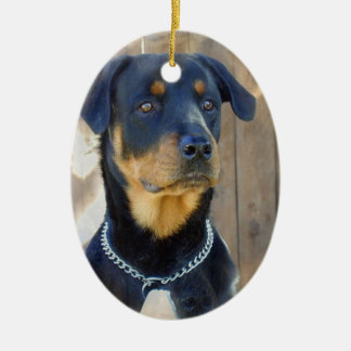Rottweiler Verzierung Keramikornament