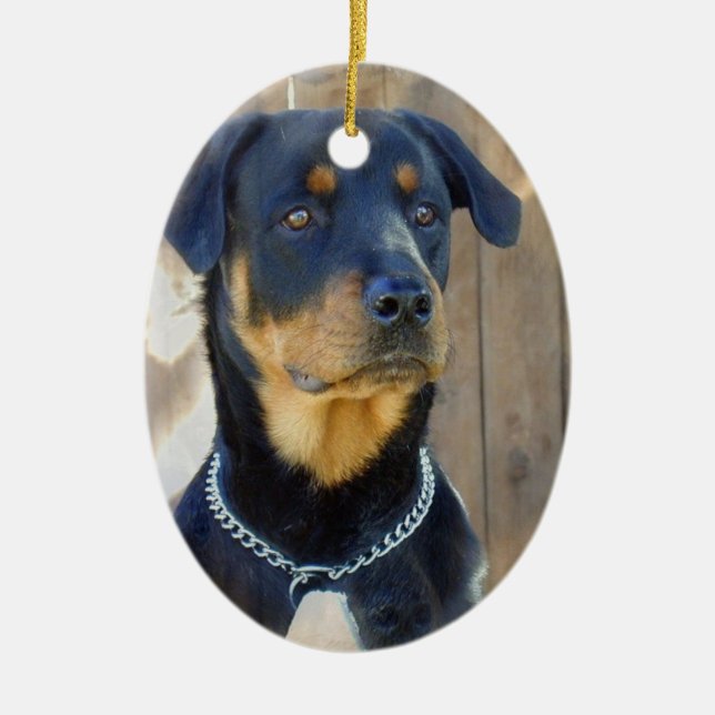Rottweiler Verzierung Keramikornament (Vorne)