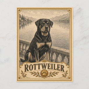 Rottweiler, Vintage-Hundertrasse Postkarte