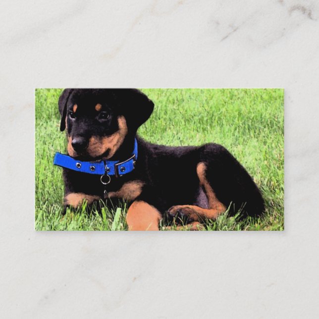 Rottweiler Visitenkarte (Vorderseite)