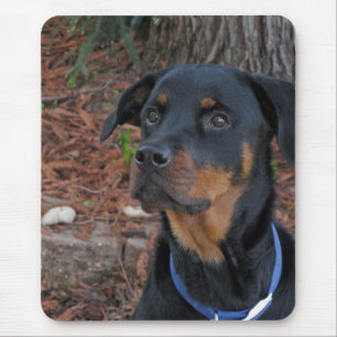 Rottweiler von Redwood Tree Mouse Pad Mousepad