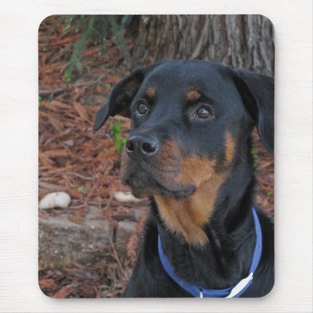Rottweiler von Redwood Tree Mouse Pad Mousepad (Vorne)