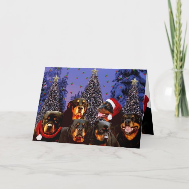 Rottweiler Weihnachten (Vorderseite)