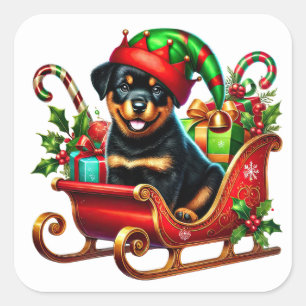Rottweiler, Weihnachtsgeschenk Sleigh Quadratischer Aufkleber