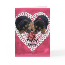 Rottweiler Welpe Liebe Valentines