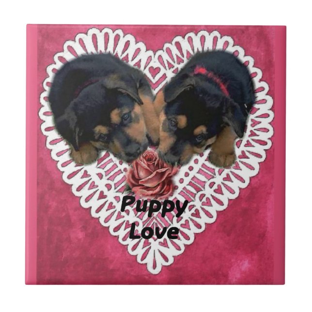 Rottweiler Welpe Liebe Valentines Fliese (Vorderseite)