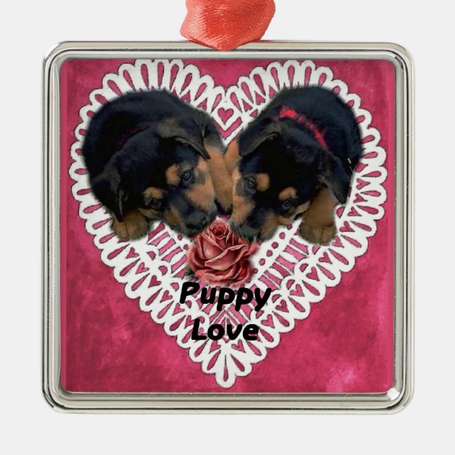 Rottweiler Welpe Liebe Valentines Silbernes Ornament (Vorne)