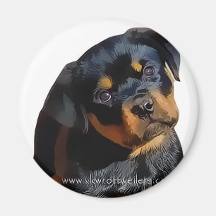 Rottweiler Welpe Magnet