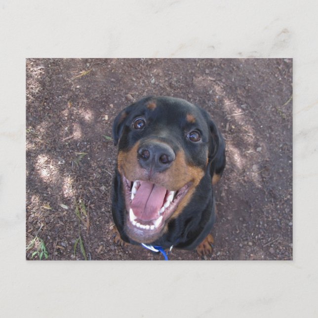 Rottweiler Welpe mit Big Smile Postkarte (Vorderseite)