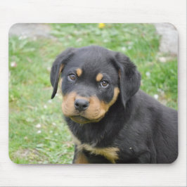 Rottweiler Welpe Mousepad