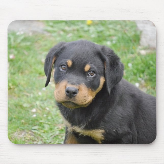 Rottweiler Welpe Mousepad (Vorne)
