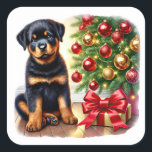Rottweiler Welpe neben einem Weihnachtsbaum Quadratischer Aufkleber<br><div class="desc">Ein niedlicher Rottweiler-Welpe sitzt neben einem hell dekorierten Weihnachtsbaum. Der Baum ist mit bunten Ornamenten geschmückt und ein großer roter Bogen auf einem Geschenk in der Nähe. Die warme Atmosphäre erweckt die Freude an der Urlaubssaison.</div>