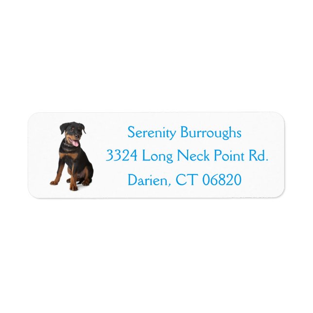 Rottweiler Welpen Hund Blue Canine Address Label (Vorne)