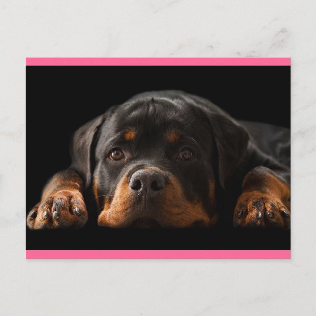 Rottweiler Welpen Hund Grußkarte - Leere Postkarte (Vorderseite)
