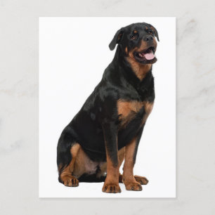 Rottweiler Welpen Hund - Hallo, Denken Sie an Sie, Postkarte