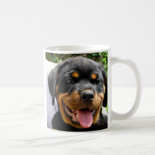 Rottweiler Welpen Hund Niedlich Tasse