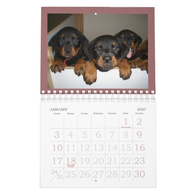 Rottweiler Welpen-Kalender Kalender (Jan 2027)